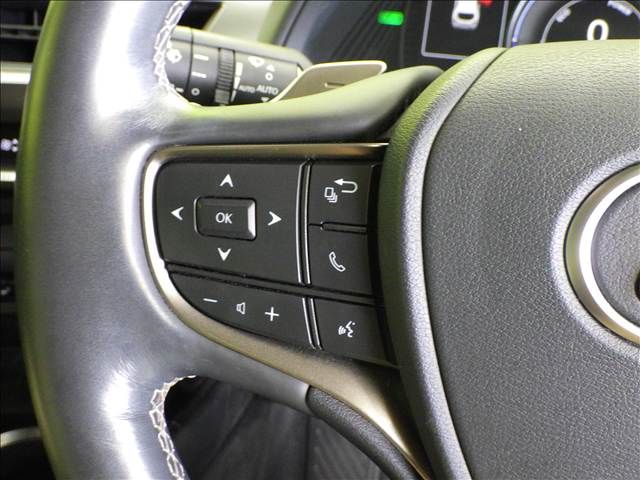 LEXUS UX250h