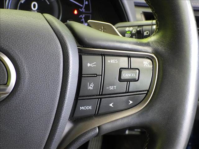 LEXUS UX250h