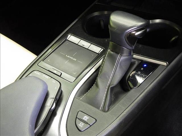 LEXUS UX250h