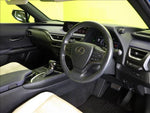 LEXUS UX250h