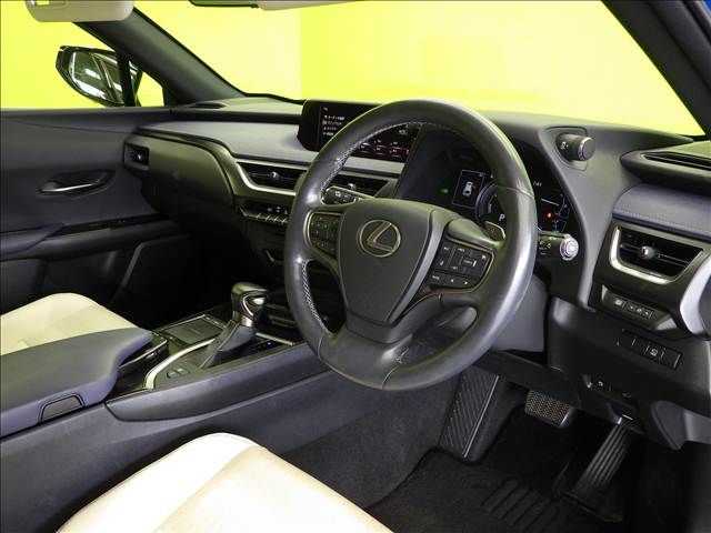 LEXUS UX250h