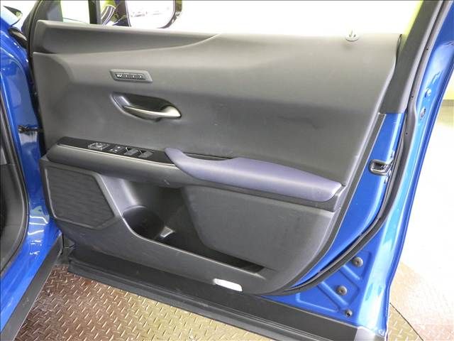 LEXUS UX250h