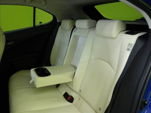 LEXUS UX250h