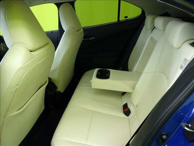 LEXUS UX250h