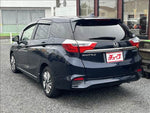 SHUTTLE HYBRID