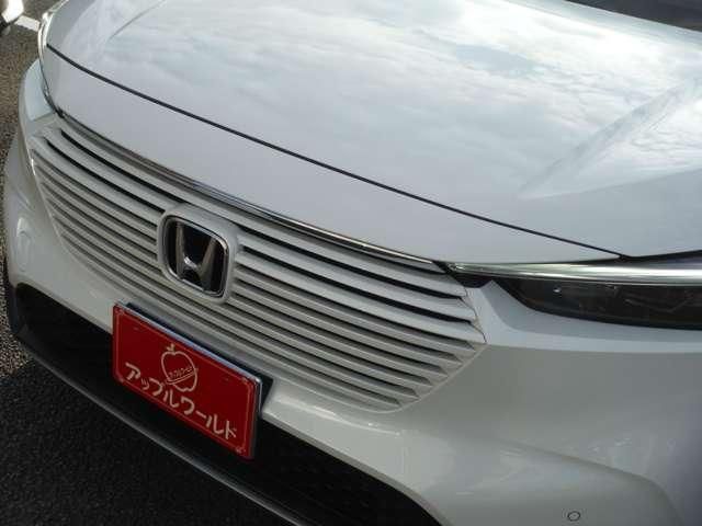 VEZEL