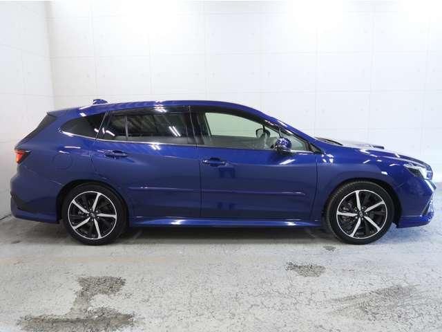 LEVORG