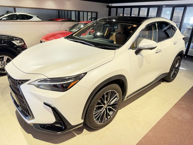 LEXUS NX350h