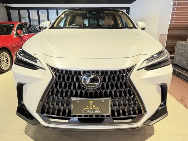 LEXUS NX350h