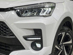 RAIZE HYBRID