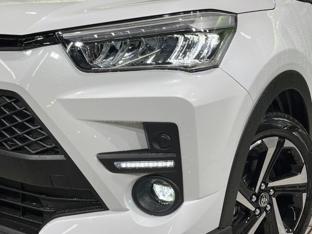 RAIZE HYBRID