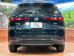 CX-80