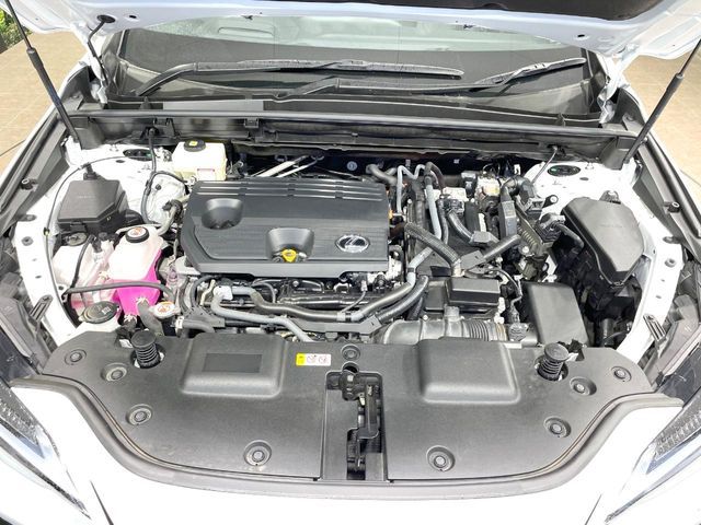LEXUS NX350h