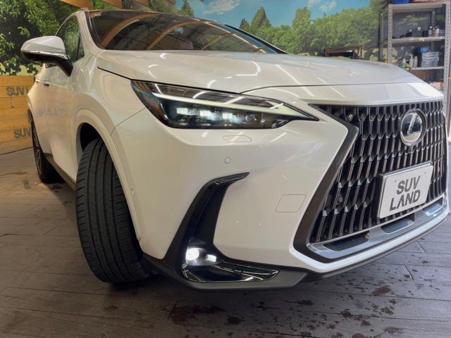 LEXUS NX350h