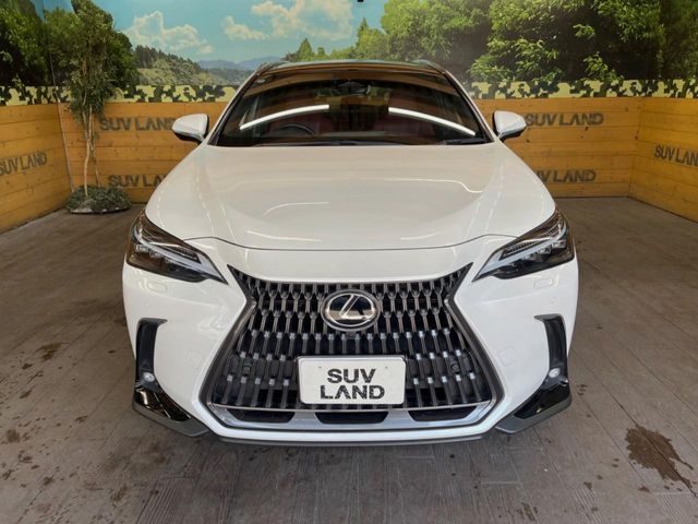 LEXUS NX350h