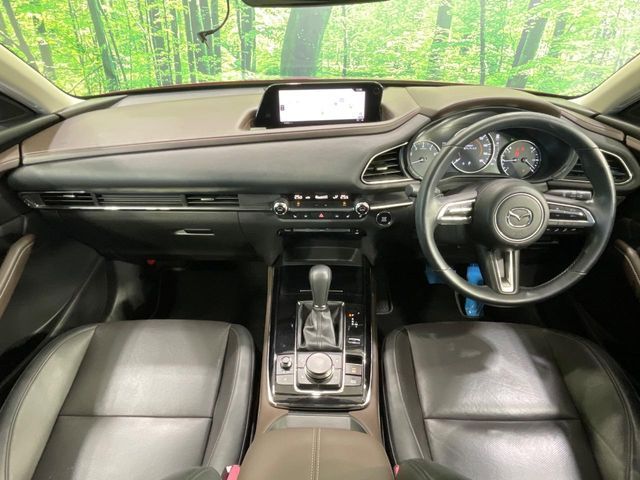CX-30