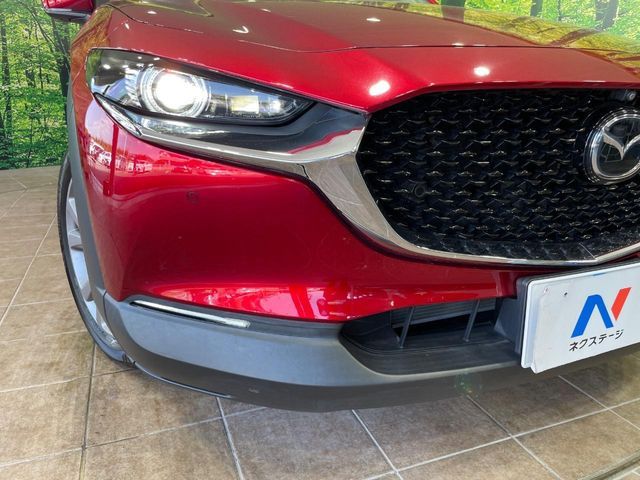 CX-30