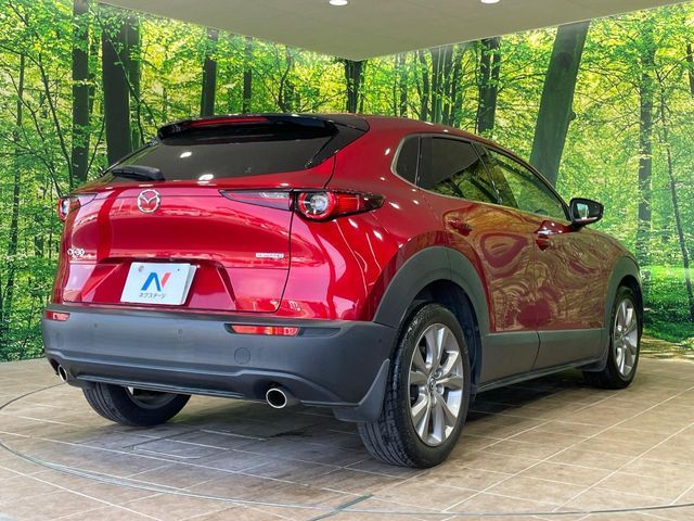 CX-30