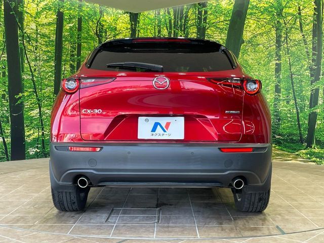 CX-30