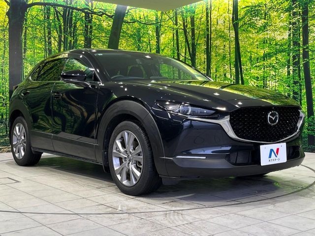 CX-30