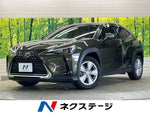 LEXUS UX250h