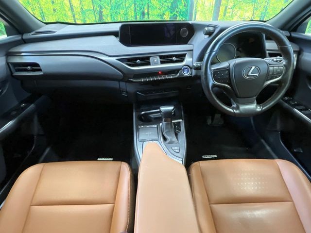 LEXUS UX250h