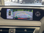 LEXUS UX250h