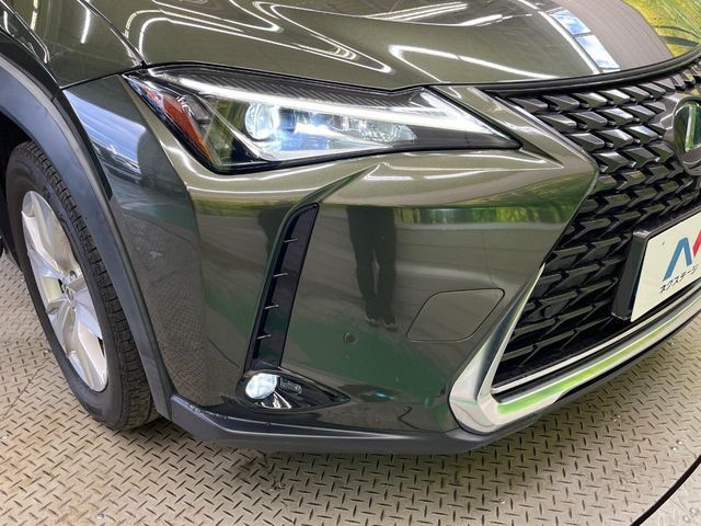 LEXUS UX250h
