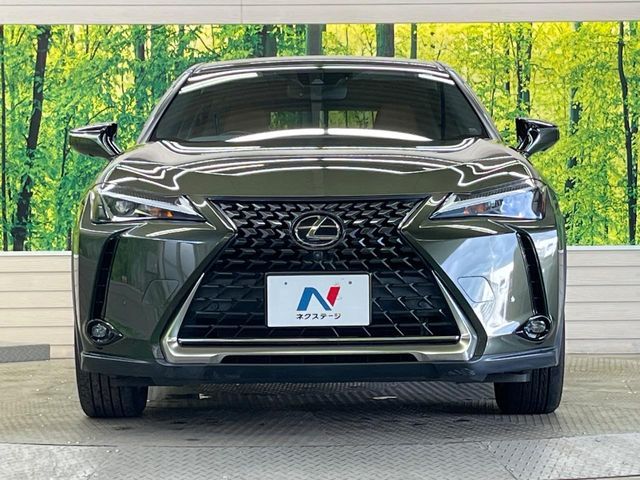 LEXUS UX250h