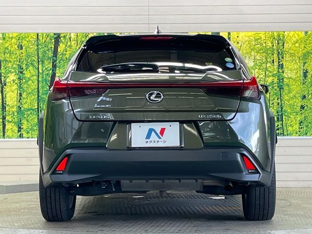LEXUS UX250h