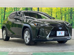LEXUS UX250h