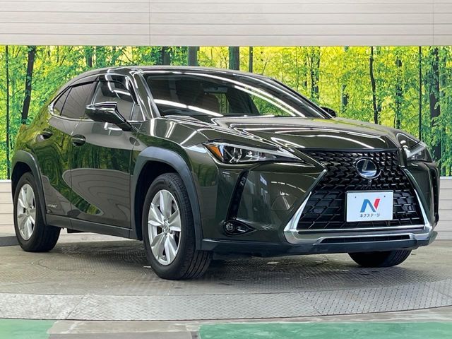 LEXUS UX250h
