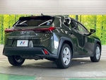 LEXUS UX250h
