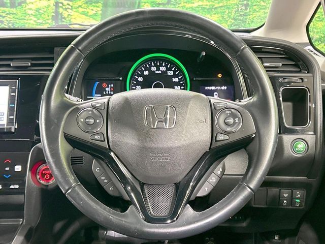 SHUTTLE HYBRID