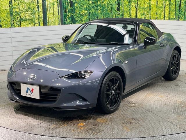 ROADSTER