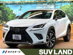 LEXUS NX300