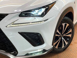 LEXUS NX300