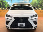 LEXUS NX300