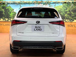 LEXUS NX300