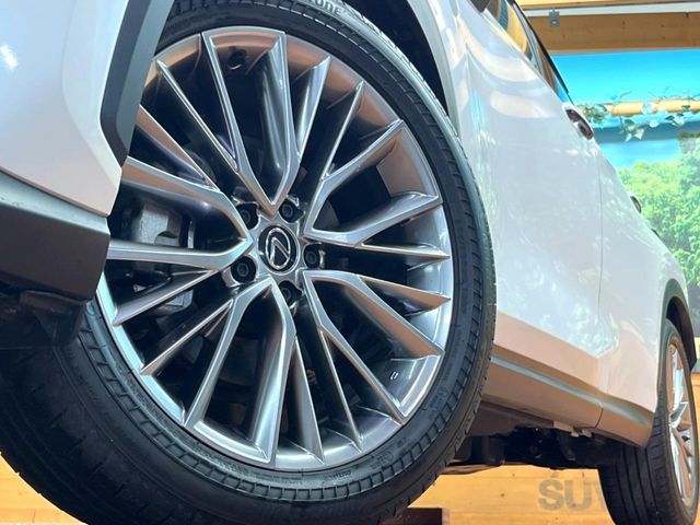 LEXUS NX350h