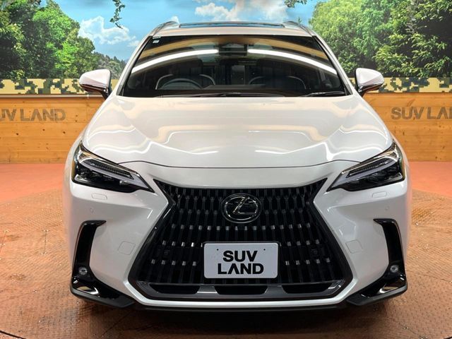 LEXUS NX350h