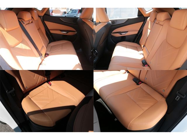 LEXUS NX350h