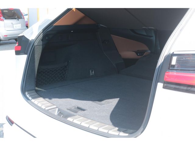 LEXUS NX350h
