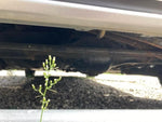 MIRA van 4WD