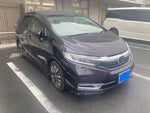SHUTTLE HYBRID