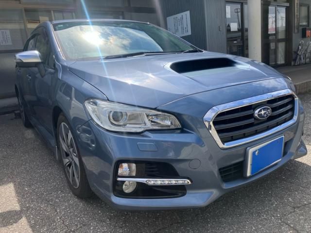 LEVORG