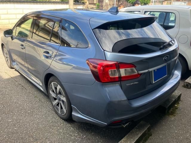 LEVORG