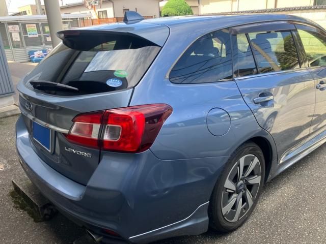 LEVORG