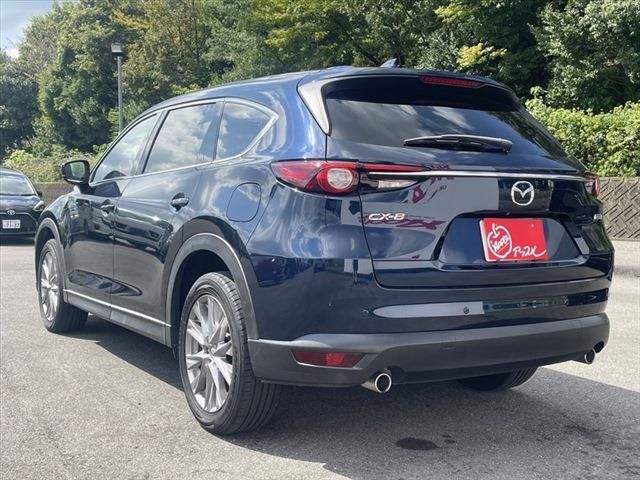 CX-8