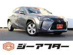LEXUS UX250h